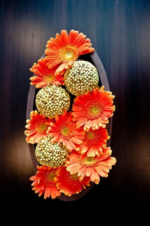 Expert landscape installation experts serving Hoboken, NJ - Urban Plantscapes