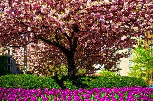 Expert yard cleanup service experts serving Hoboken, NJ - Urban Plantscapes