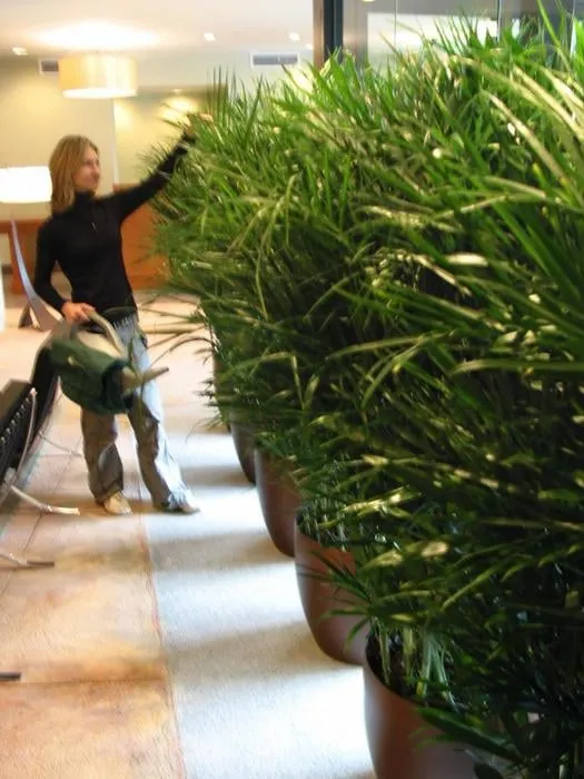 Top-rated landscaping services for homes across Hoboken, NJ - Urban Plantscapes