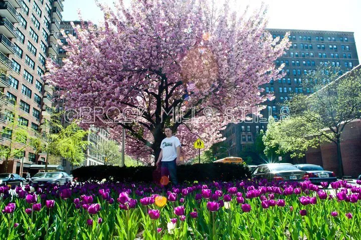 Professional landscape installation experts serving Pittsburgh, PA - Urban Plantscapes