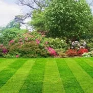 Affordable lawn care service experts serving Shawnee, KS - Urban Professional Lawn Care