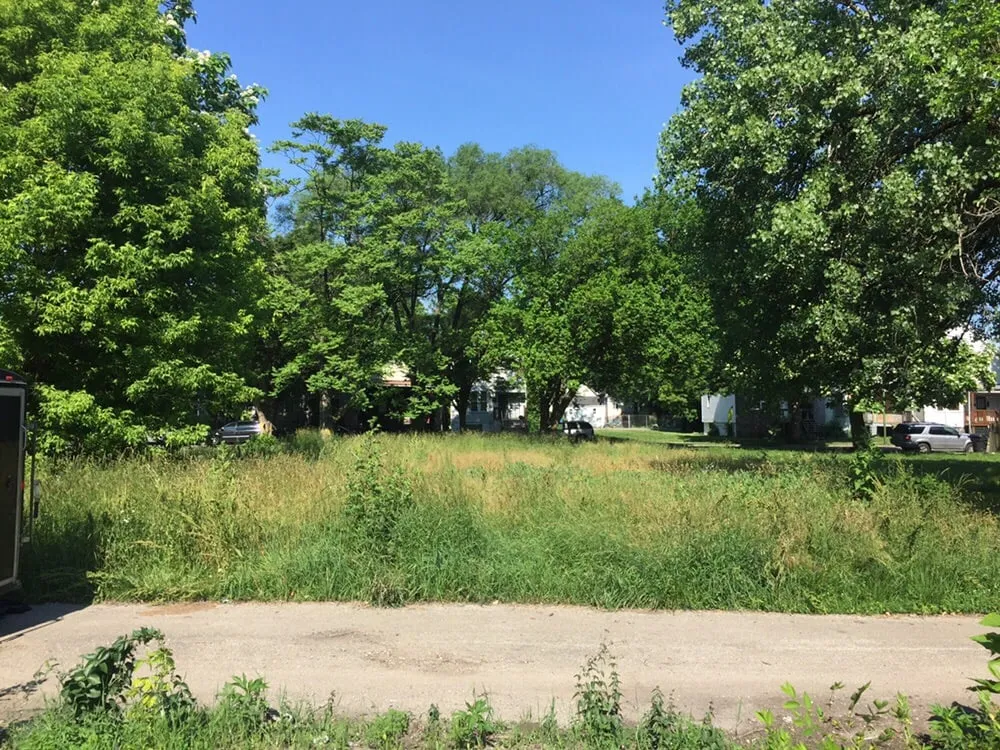 Expert landscaping services for year-round maintenance across Chicago, IL - Urban Roots