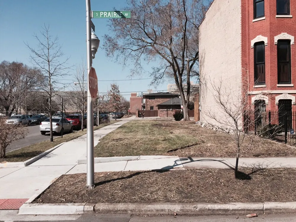 Top-rated yard maintenance in Chicago, IL by Urban Roots