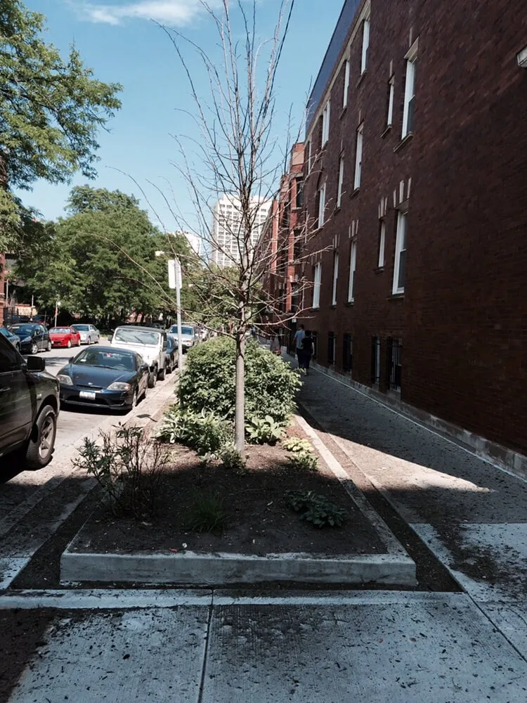 Reliable residential landscaping experts serving Chicago, IL - Urban Roots