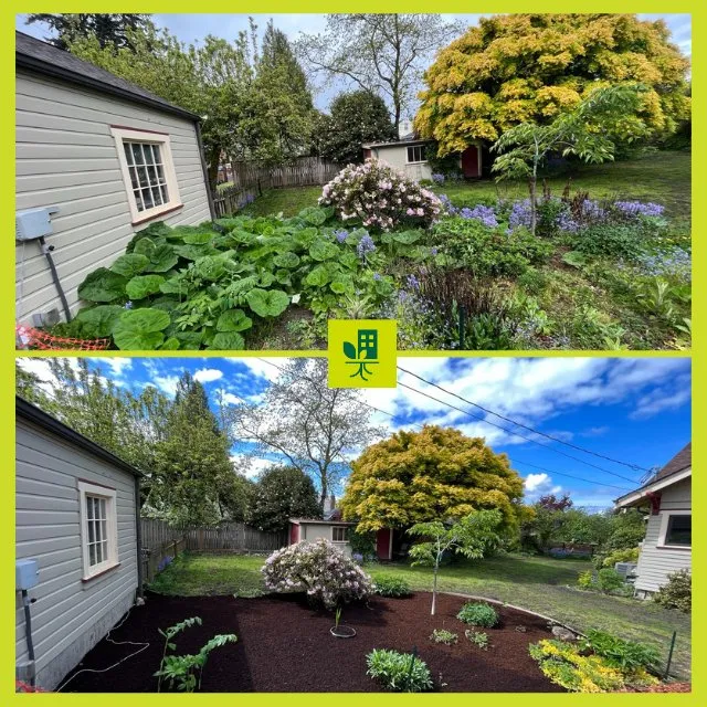 Local landscape installation in Federal Way, WA by Urban Roots Landscaping
