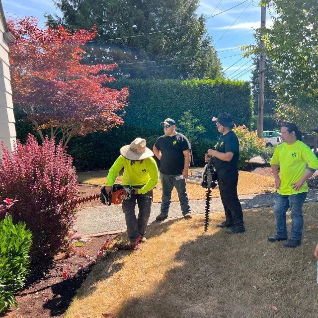 Trusted yard cleanup service experts serving Federal Way, WA - Urban Roots Landscaping