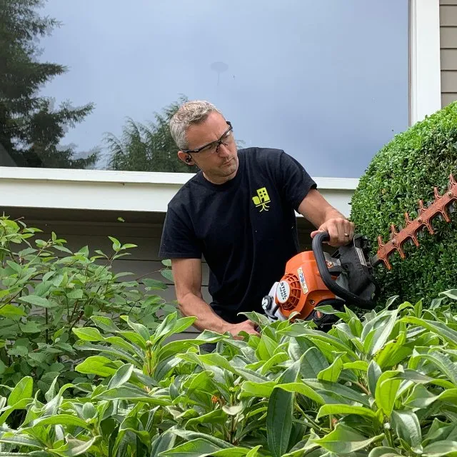 Reliable yard cleanup service experts serving Federal Way, WA - Urban Roots Landscaping
