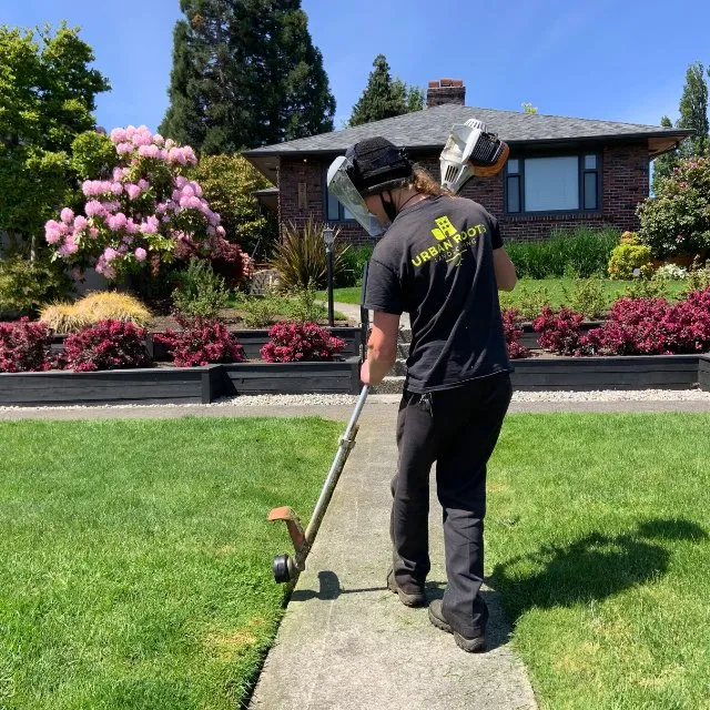Affordable yard cleanup service experts serving Federal Way, WA - Urban Roots Landscaping