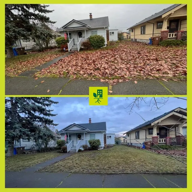 Professional outdoor landscaping in Tacoma, WA - Urban Roots Landscaping