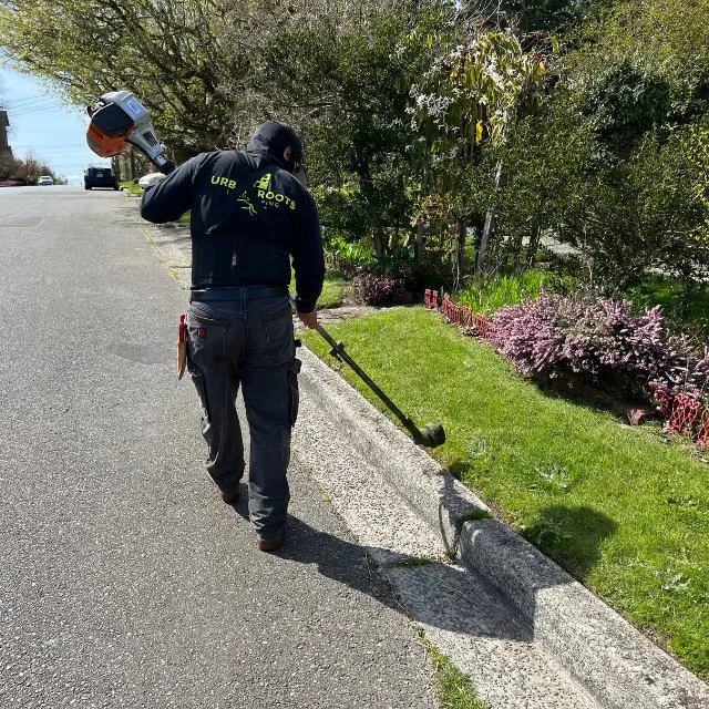Affordable yard cleanup service for outdoor upgrades across Tacoma, WA - Urban Roots Landscaping