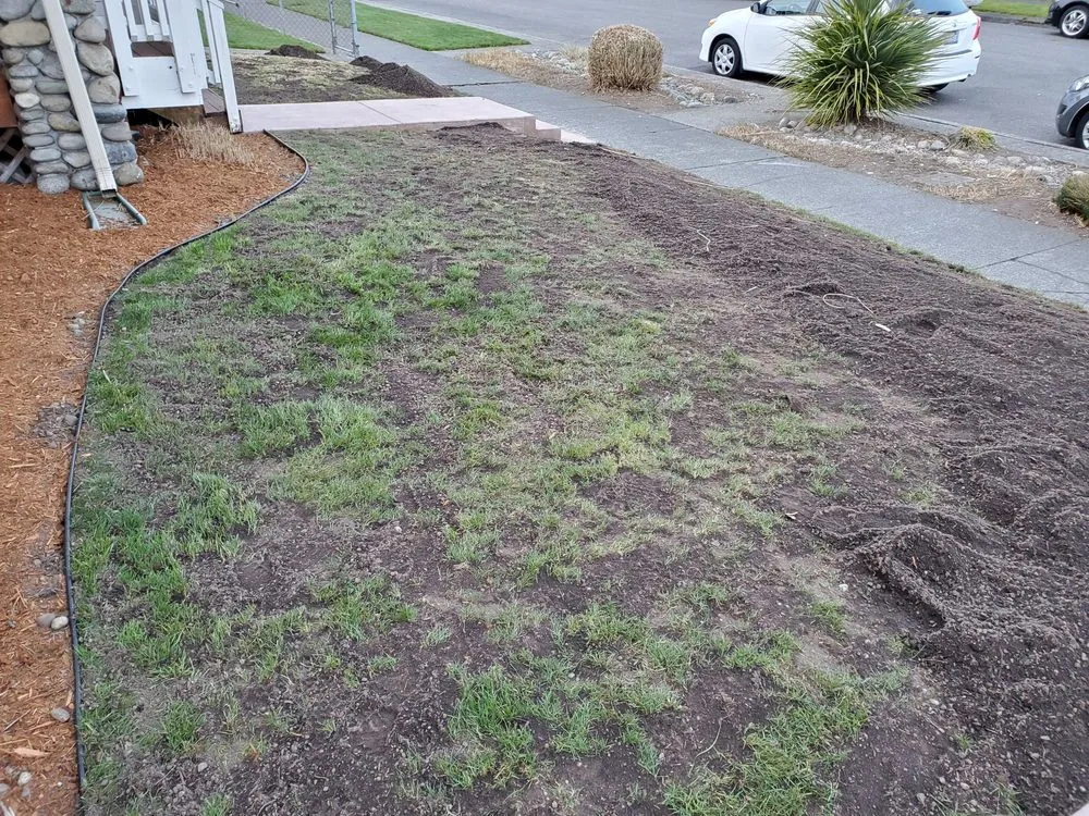 Local landscaping services with custom design in Tacoma, WA by Urban Roots Landscaping