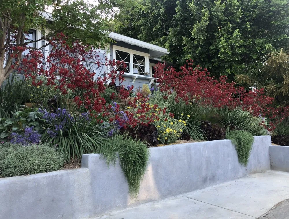 Custom yard cleanup service for residential properties across Van Nuys, CA - Urban Soil Landscape