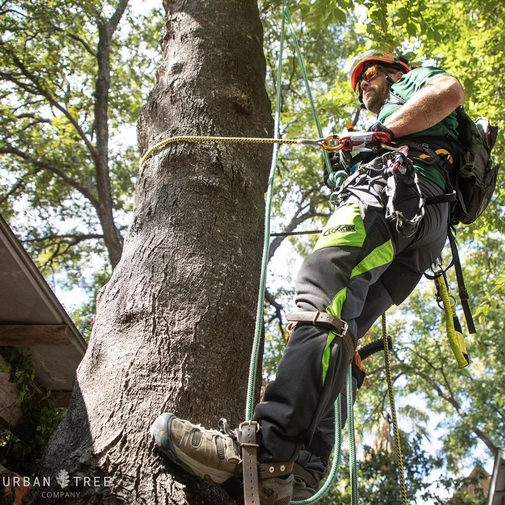 Top-rated lawn mowing service for beautiful yards in San Antonio, TX by Urban Tree Company