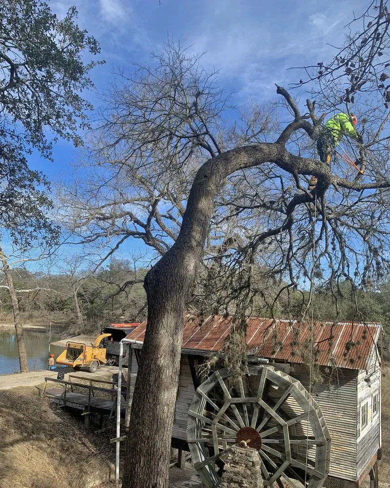 Top-rated outdoor landscaping for beautiful yards in San Antonio, TX by Urban Tree Company