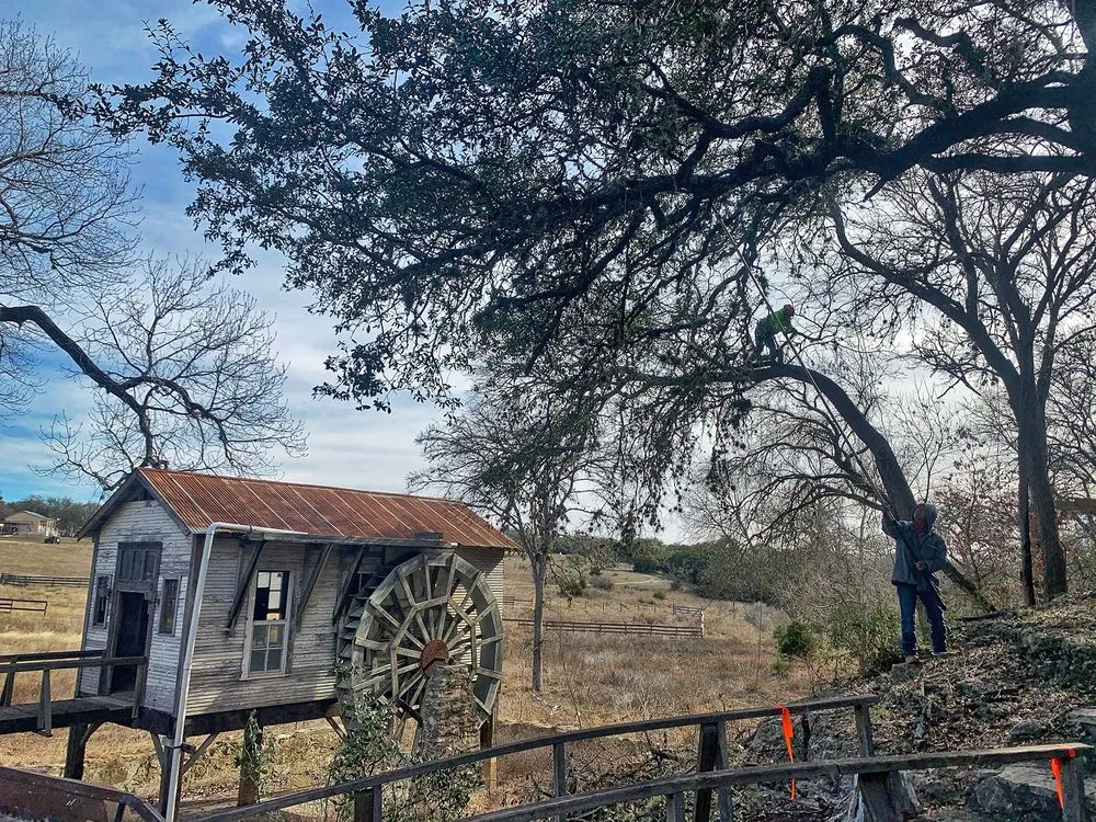 Reliable landscape design for outdoor upgrades across San Antonio, TX - Urban Tree Company