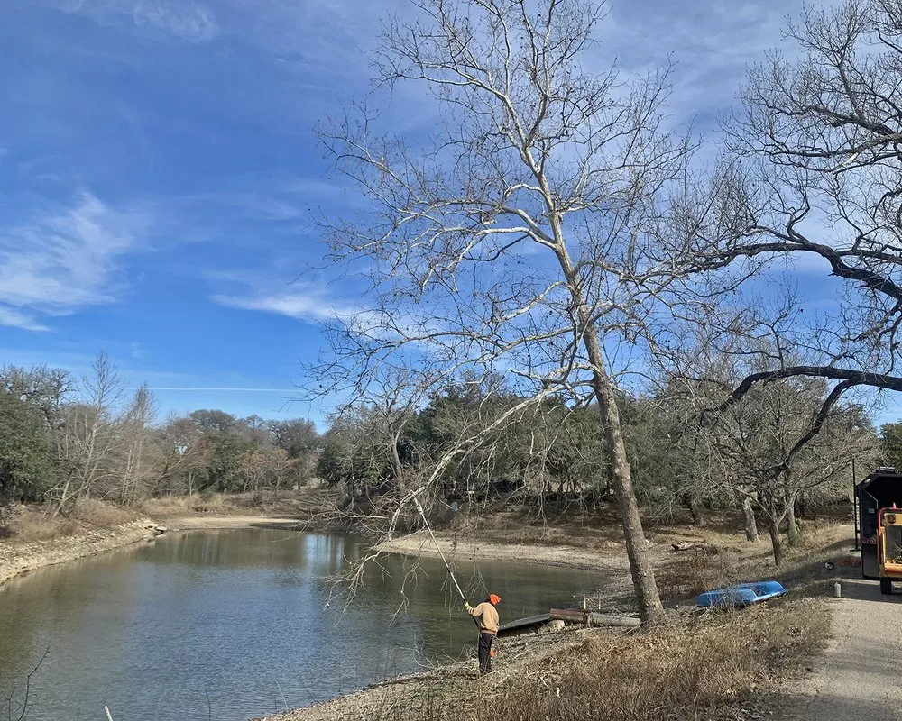 Reliable landscape installation in San Antonio, TX by Urban Tree Company