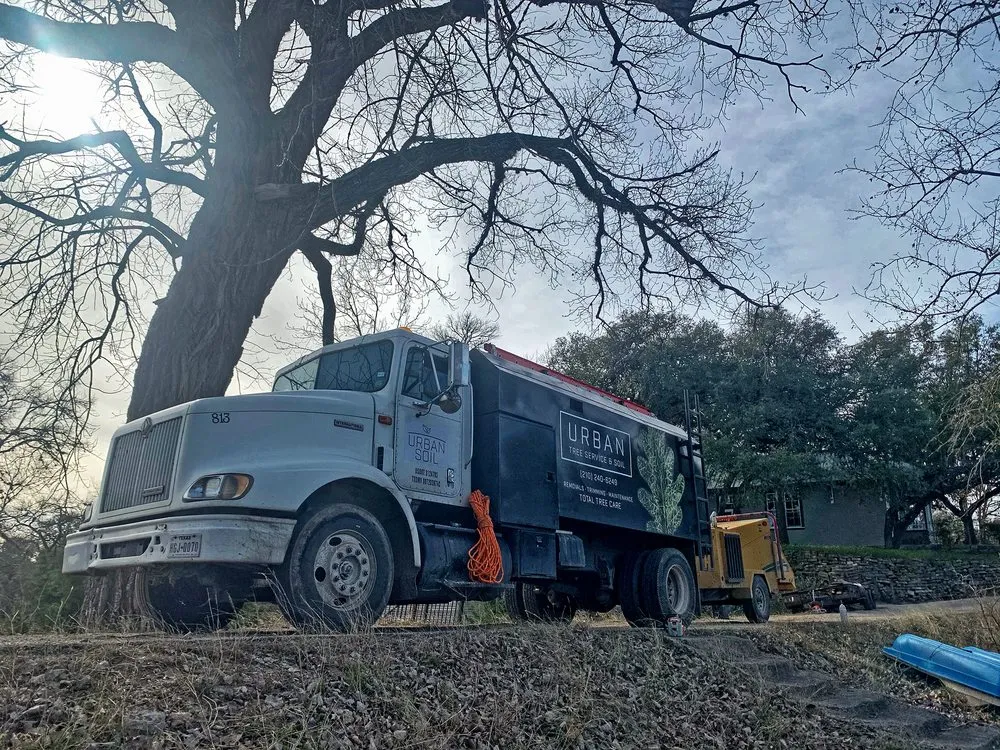 Expert residential landscaping in San Antonio, TX by Urban Tree Company