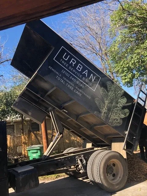 Top-rated lawn care service in San Antonio, TX by Urban Tree Company