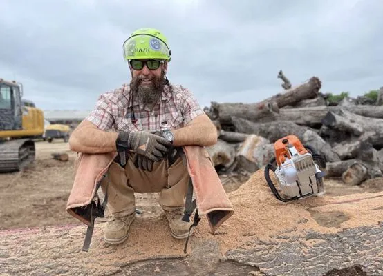 Urban Tree Company Logo