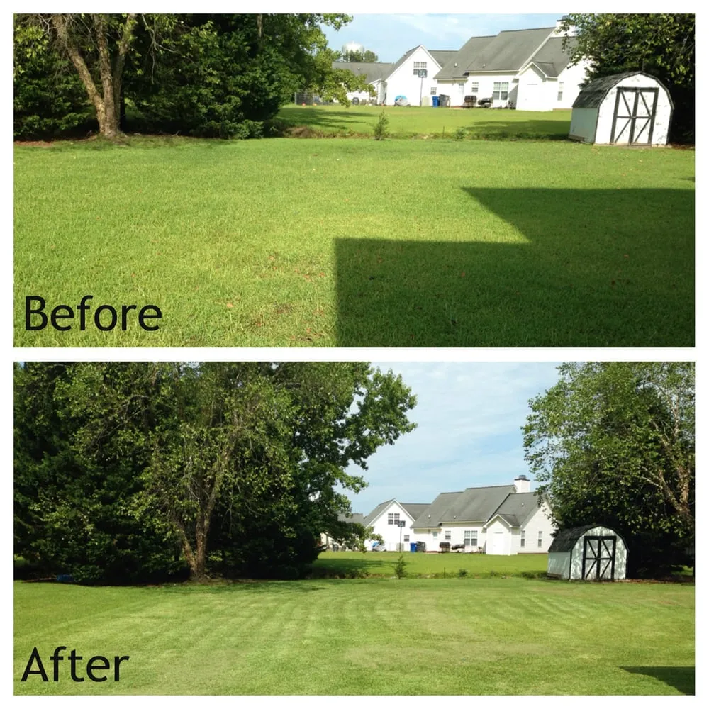 Professional yard cleanup service near you in Broadway, NC by Urban Turf Lawn Care