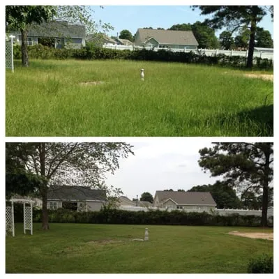 Urban Turf Lawn Care Logo