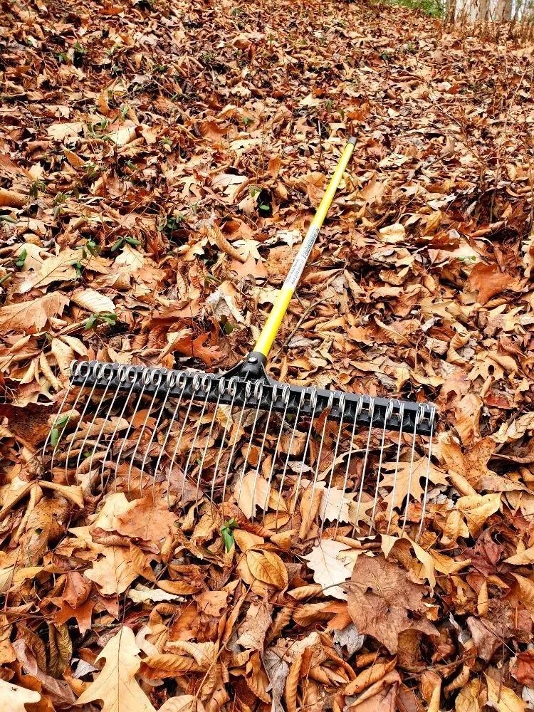 Top-rated residential landscaping experts serving Waldorf, MD - Urban Turf