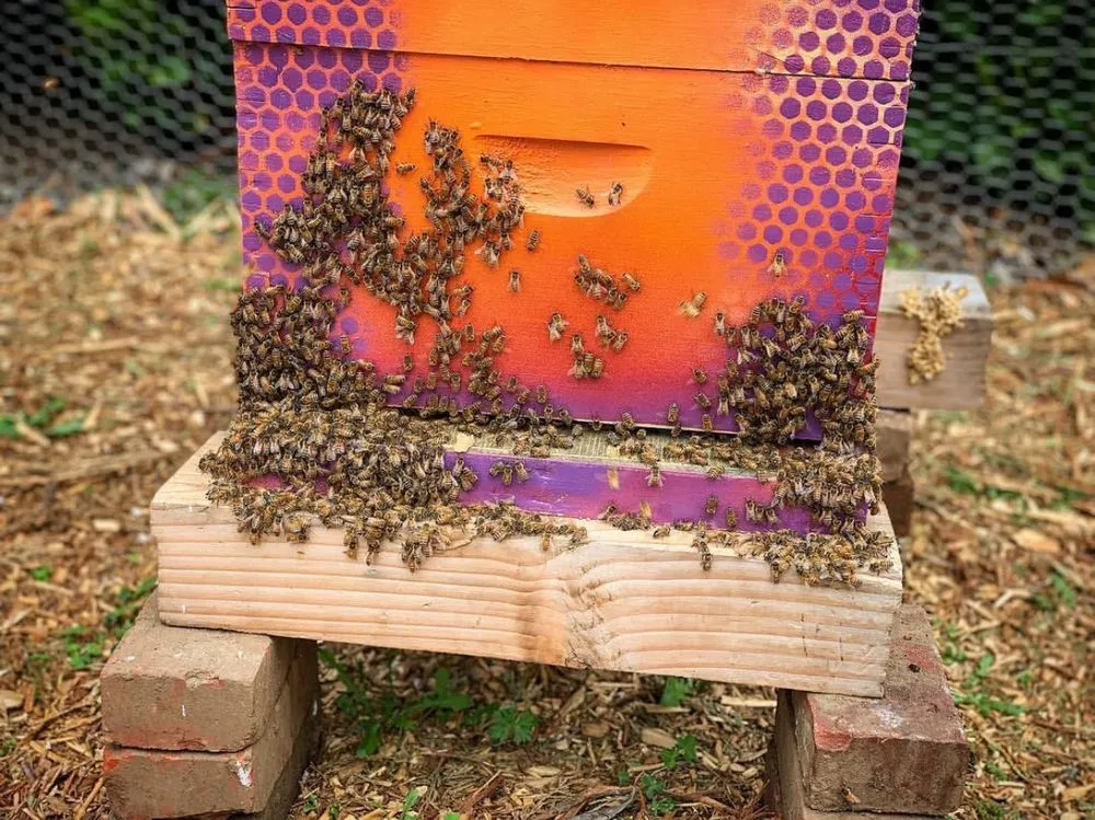 Trusted outdoor landscaping in Milwaukie, OR by Urban Village Designs