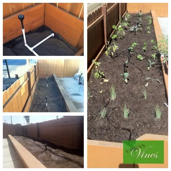 Custom garden landscaping in El Cajon, CA - Urban Vines Landscape & Gardening Services