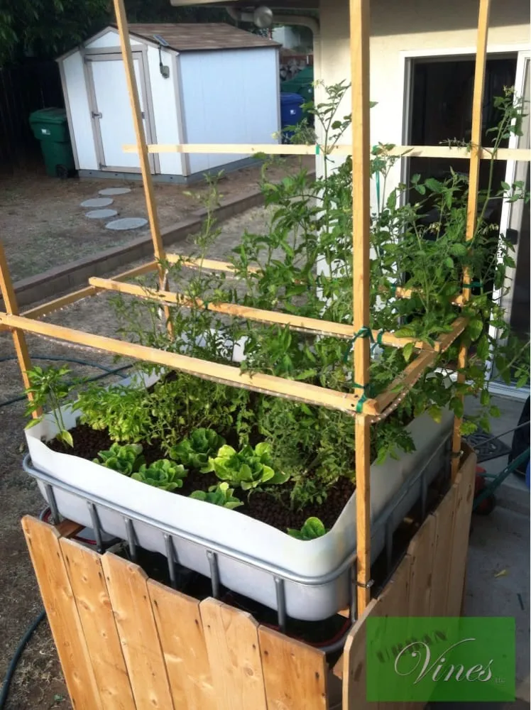 Top-rated outdoor landscaping in El Cajon, CA by Urban Vines Landscape & Gardening Services