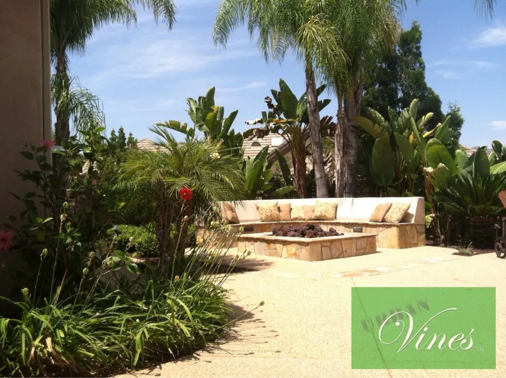 Professional landscape installation for beautiful yards across El Cajon, CA - Urban Vines Landscape & Gardening Services