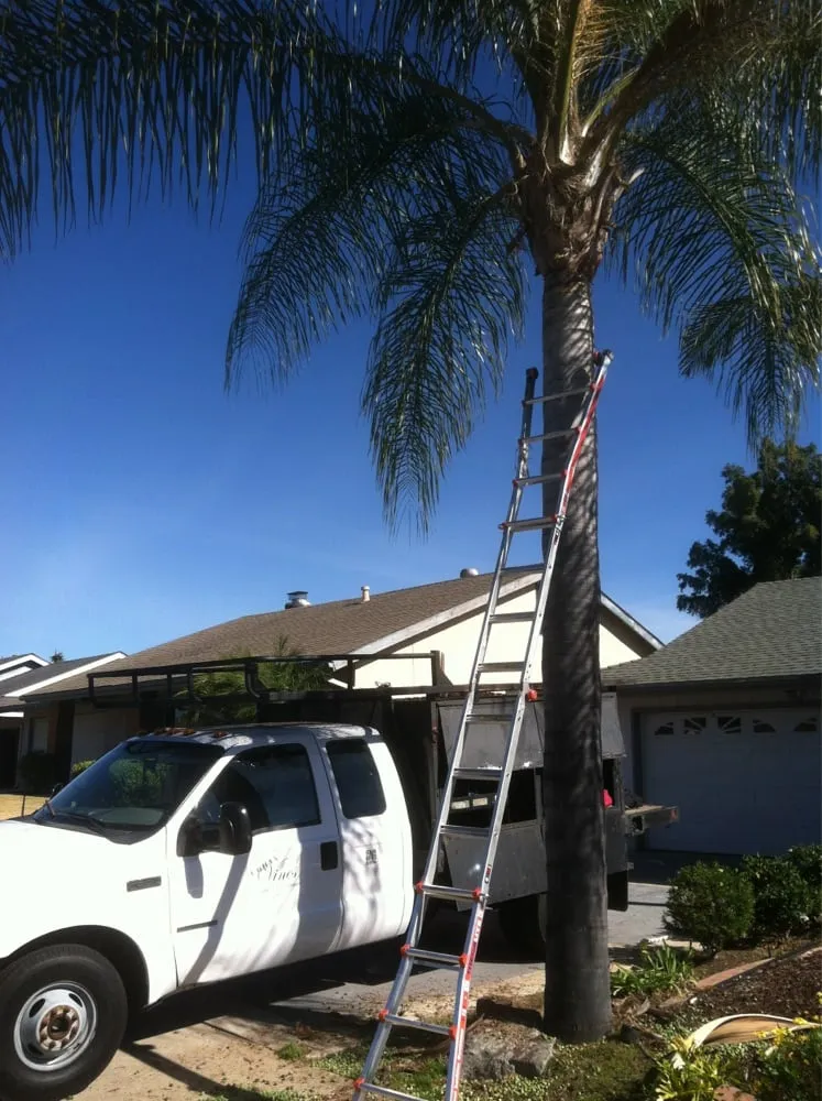 Professional residential landscaping for beautiful yards across El Cajon, CA - Urban Vines Landscape & Gardening Services