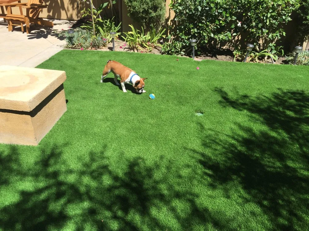 Local lawn care service experts serving Vista, CA - Urbanica Landscape