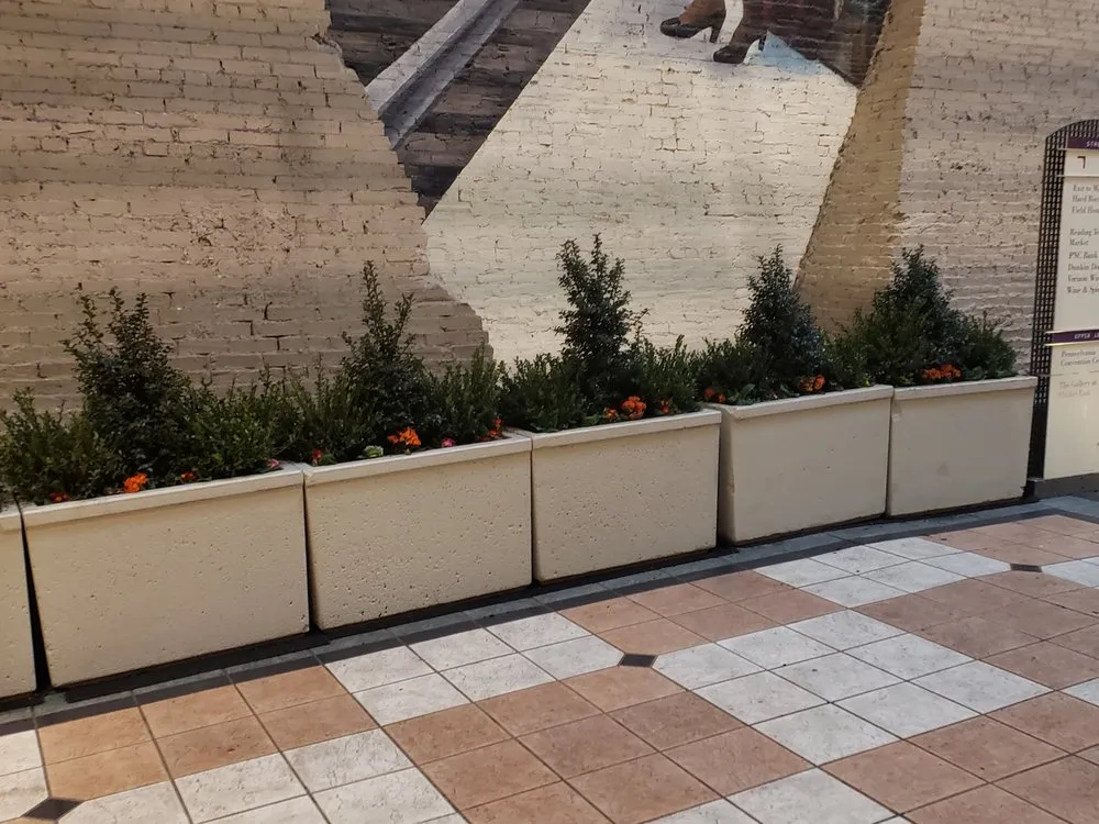 Trusted yard cleanup service in Philadelphia, PA by UrbanScape Solutions