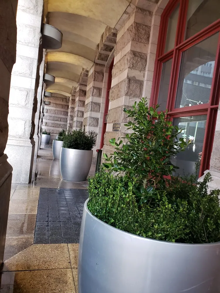 Affordable landscape installation in Philadelphia, PA by UrbanScape Solutions