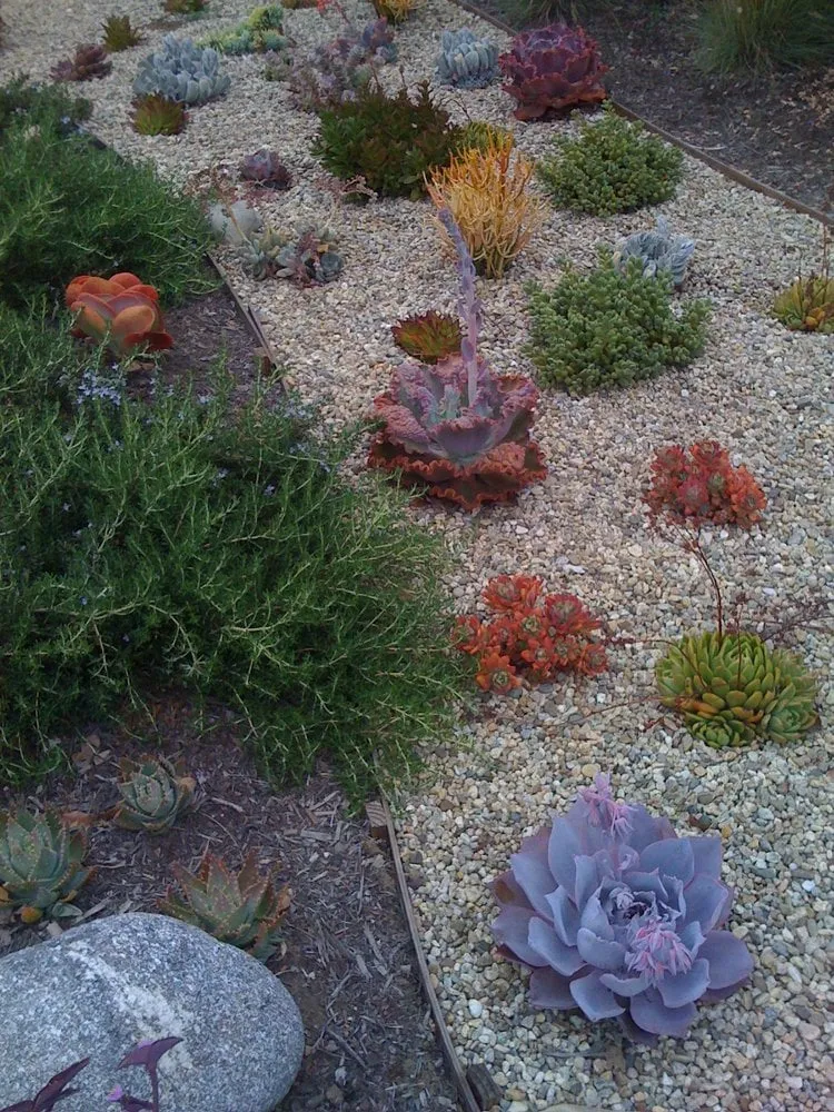 Local yard cleanup service experts serving Sherman Oaks, CA - Urbanscapes for Sustainable Living