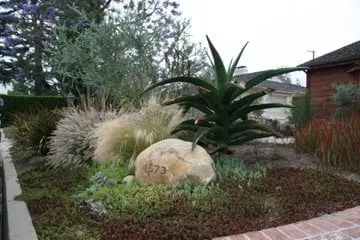 Professional residential landscaping for residential properties in Sherman Oaks, CA by Urbanscapes for Sustainable Living