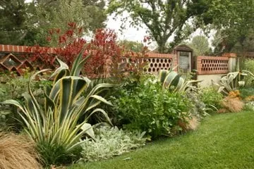 Expert residential landscaping for residential properties across Sherman Oaks, CA - Urbanscapes for Sustainable Living