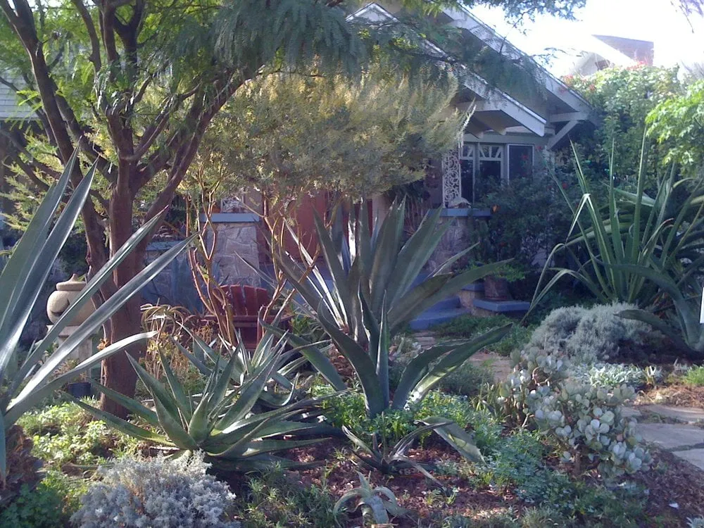 Professional yard cleanup service in Sherman Oaks, CA - Urbanscapes for Sustainable Living