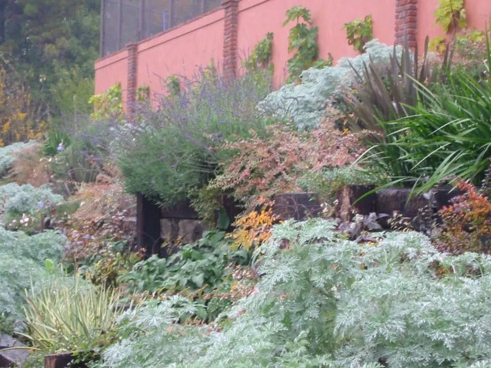 Affordable lawn care service experts serving Sherman Oaks, CA - Urbanscapes for Sustainable Living