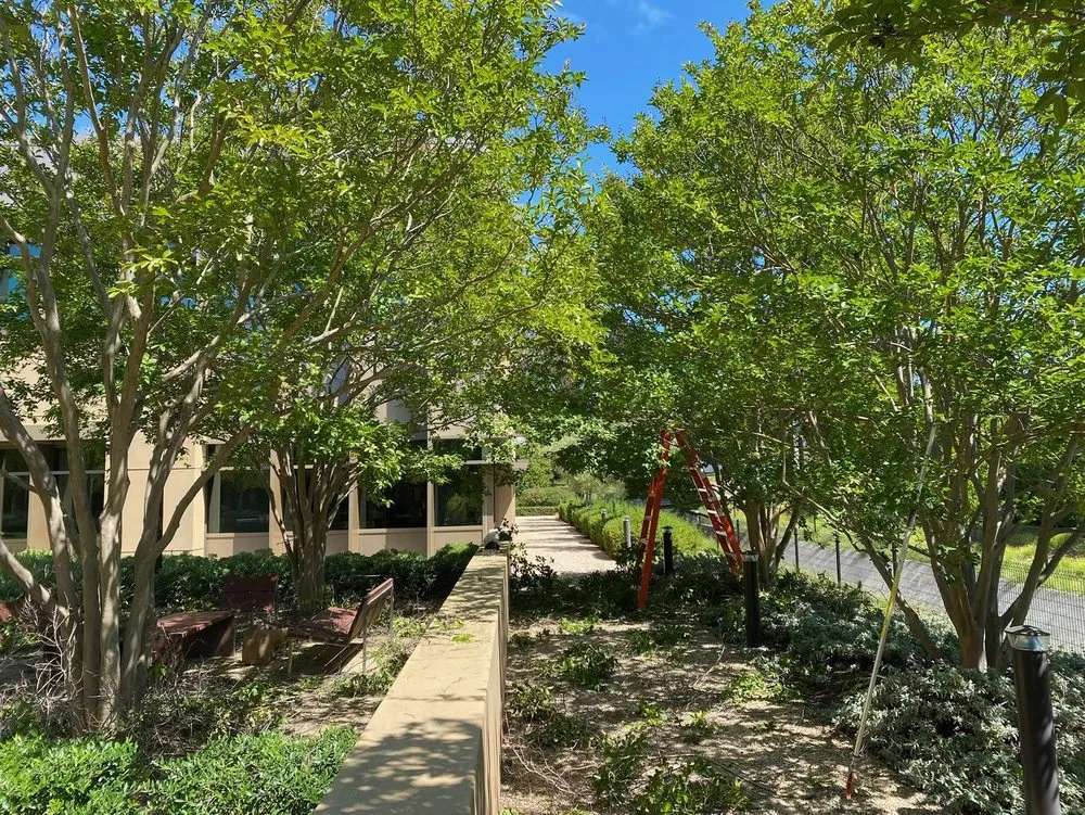 Top-rated garden landscaping for beautiful yards across Mountain View, CA - Urbanscapes Landscape Services