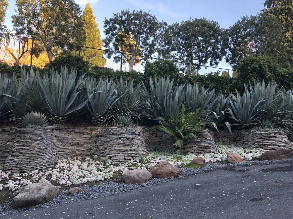 Expert landscape design for year-round maintenance in Mountain View, CA by Urbanscapes Landscape Services