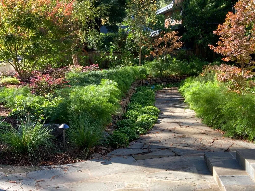 Local yard cleanup service in Mountain View, CA by Urbanscapes Landscape Services