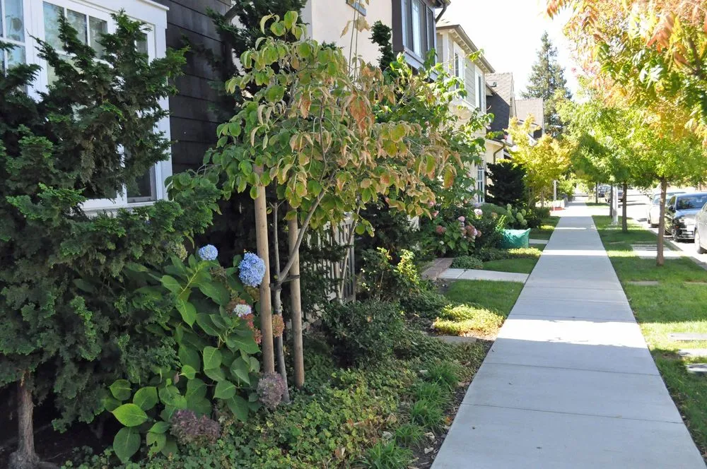 Professional garden landscaping experts serving Mountain View, CA - Urbanscapes Landscape Services