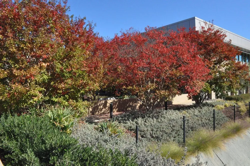 Trusted landscape design experts serving Mountain View, CA - Urbanscapes Landscape Services
