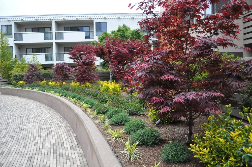 Local yard cleanup service for beautiful yards in Mountain View, CA by Urbanscapes Landscape Services