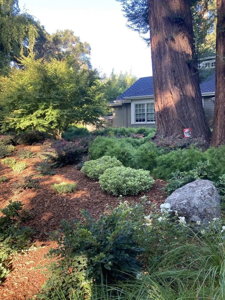 Local landscaping services near you in Mountain View, CA by Urbanscapes Landscape Services