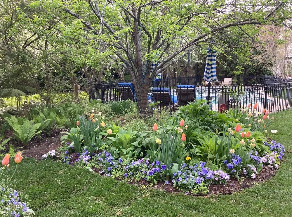 Affordable lawn mowing service near you across Mountain View, CA - Urbanscapes Landscape Services