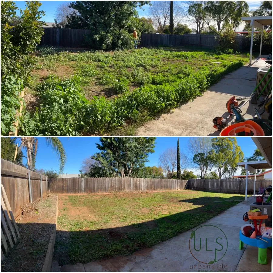 Professional yard cleanup service experts serving Escondido, CA - Urbanside landscape services