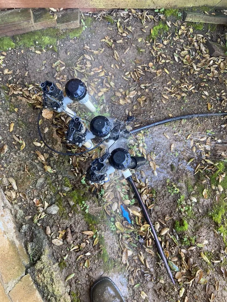 Local landscape installation in Escondido, CA by Urbanside landscape services