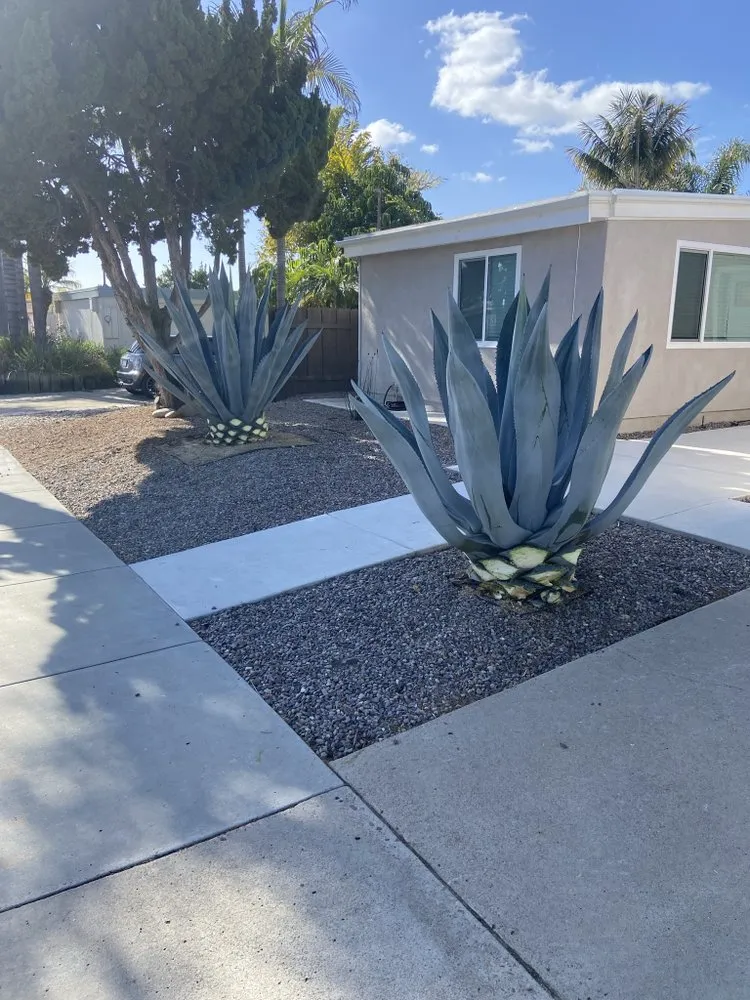 Local yard maintenance experts serving Escondido, CA - Urbanside landscape services